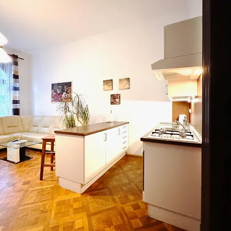Spacious Cozy In Centre Apartment *