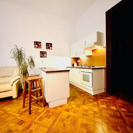 Apartman Spacious Cozy In Centre *