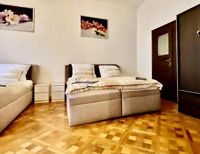 Spacious Cozy In Centre Apartment *