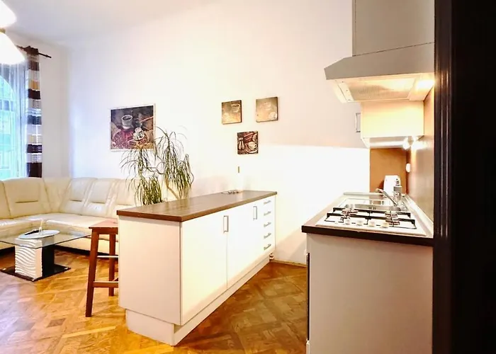 Spacious Cozy In Centre Daire *