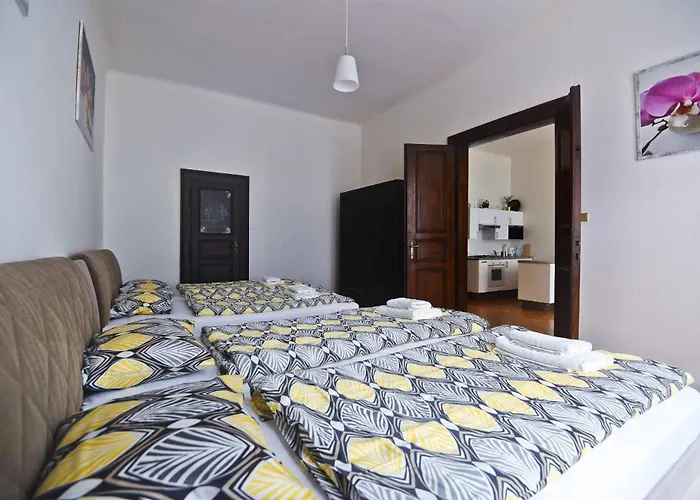 Spacious Cozy In Centre Apartment
