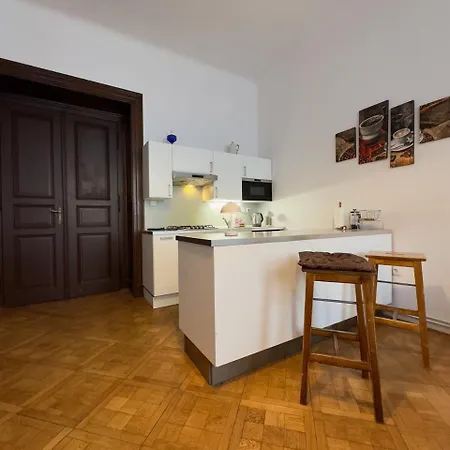 Spacious Cozy In Centre Appartement *