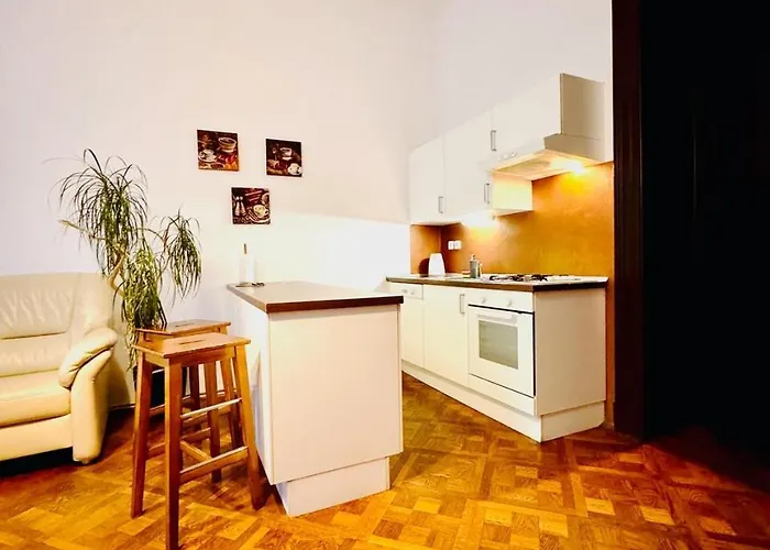 Lejlighed Spacious Cozy In Centre *