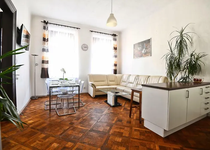 Lejlighed Spacious Cozy In Centre