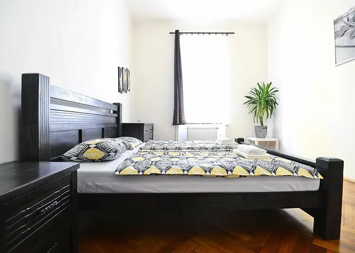 Spacious Cozy In Centre Daire