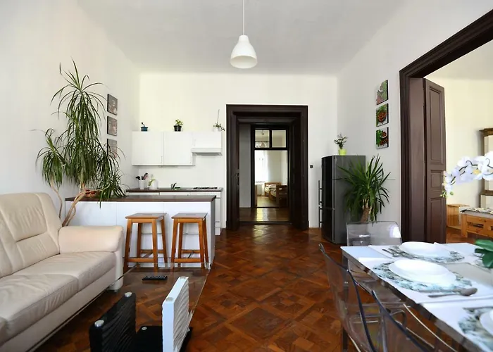 Spacious Cozy In Centre Daire *